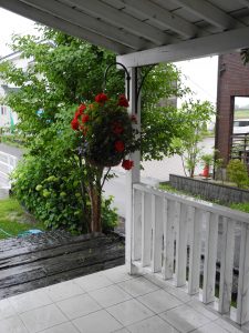 梅雨時も快適に過ごすイソップの住まい🌼 | BLOG