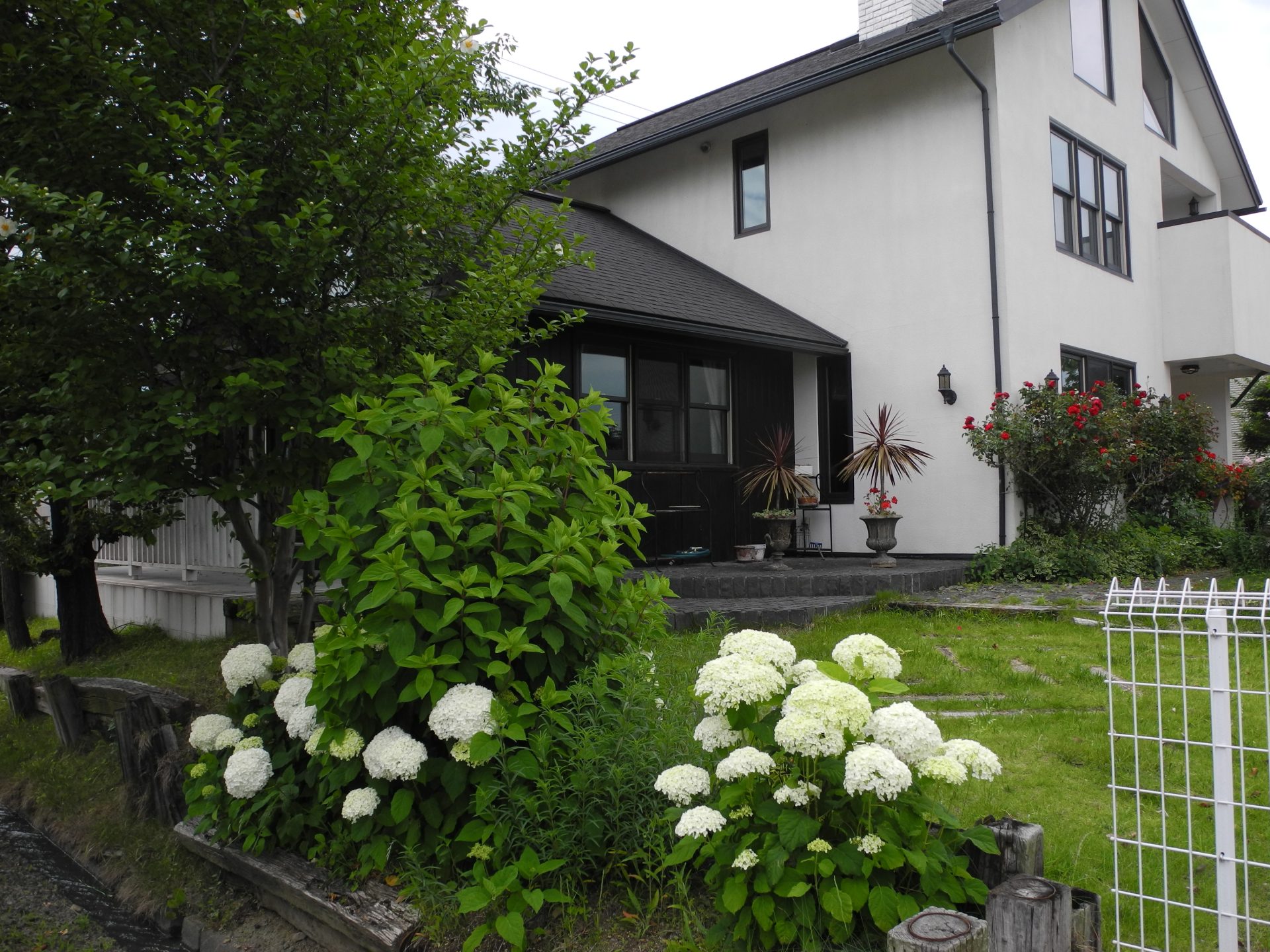 心地よい暮らしをデザイン🏡 | BLOG