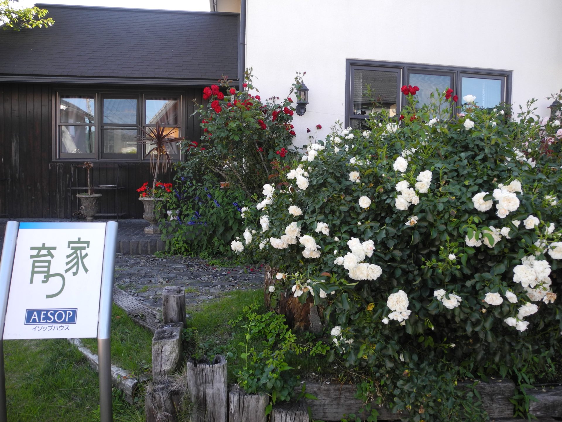 経年美を楽しむ家🏡 | BLOG
